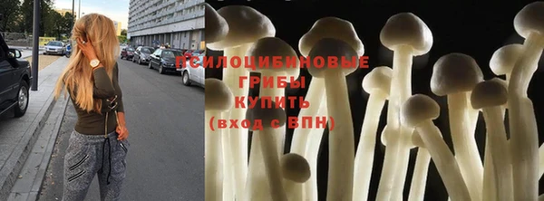 гидра Зеленодольск