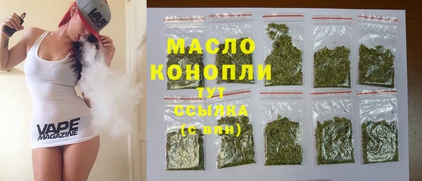 гидра Зеленодольск