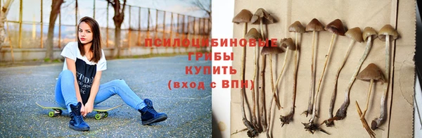 гидра Зеленодольск